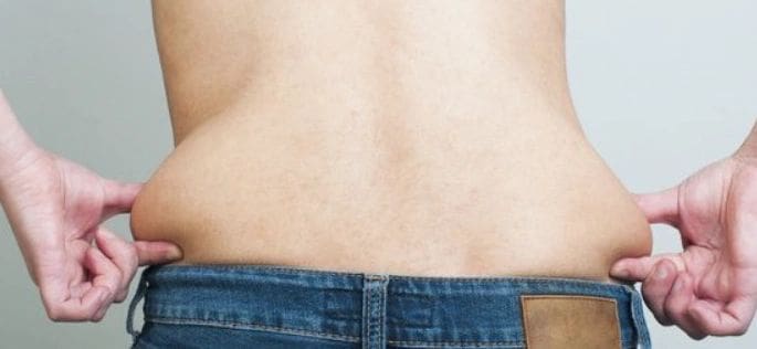 introduction, love handles